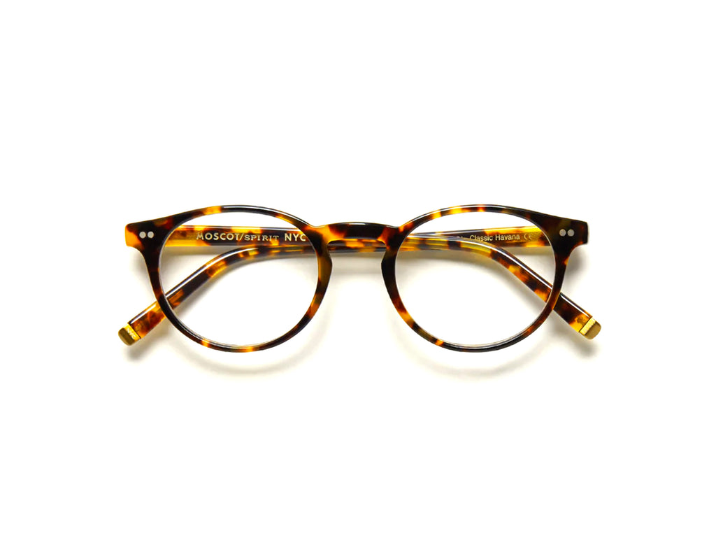 Moscot - Frankie Classic Havana【New】