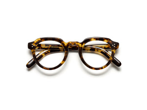 Moscot - Gavolt Classic Havana【New】